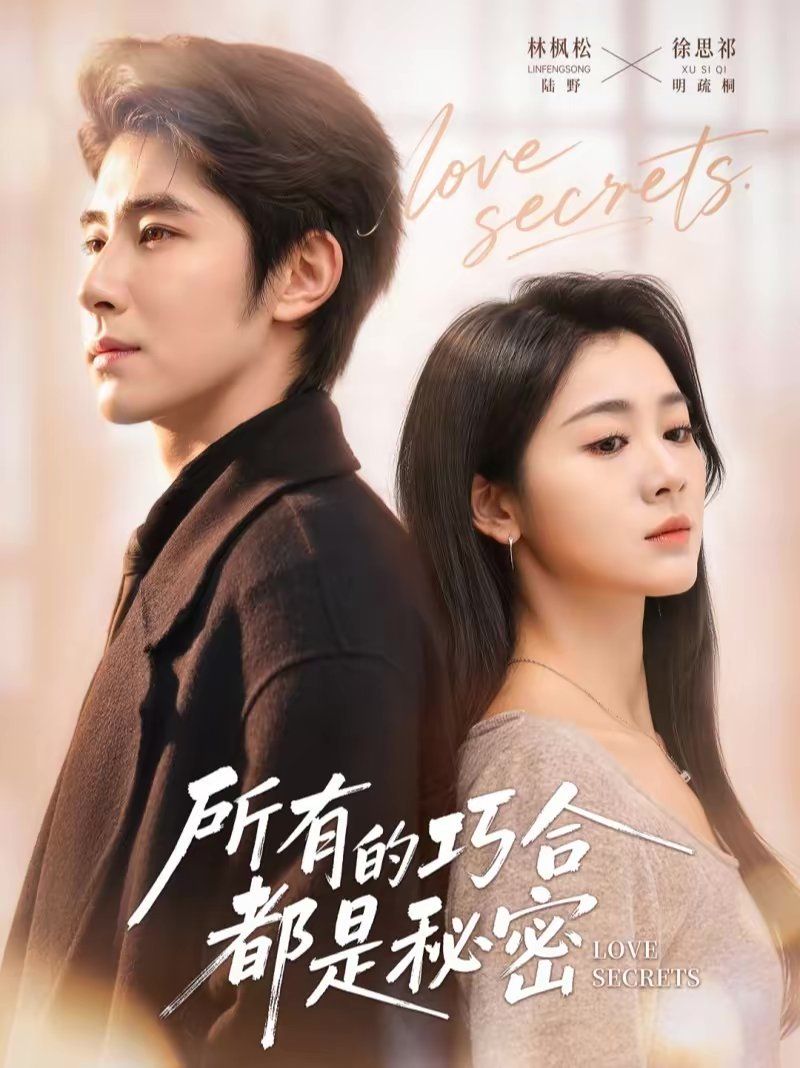 所有的巧合都是秘密（陆总夫人她只想离婚）